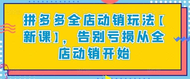 拼多多全店动销玩法【新课】，告别亏损从全店动销开始-翻身站
