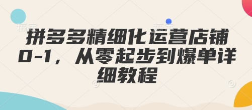 拼多多精细化运营店铺0-1，从零起步到爆单详细教程-翻身站