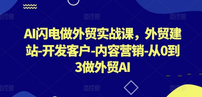 AI闪电做外贸实战课，​外贸建站-开发客户-内容营销-从0到3做外贸AI-翻身站
