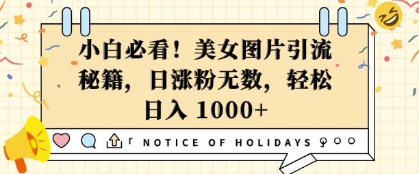 小白必看，美女图片引流秘籍，日涨粉无数，轻松日入几张【揭秘】-翻身站