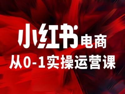 小红书电商从0-1实操运营课，让你从小白到精英-翻身站