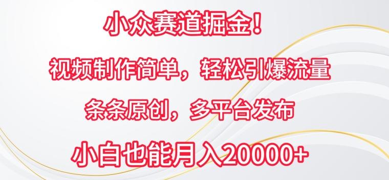 小众赛道掘金，视频制作简单，轻松引爆流量，条条原创，多平台发布【揭秘】-翻身站