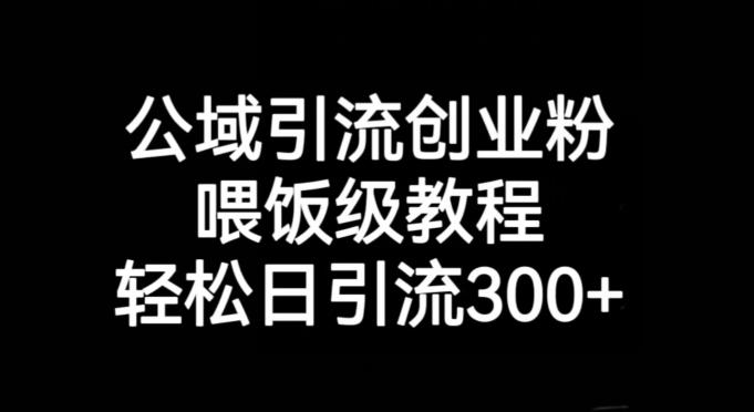 公域引流创业粉，喂饭级教程，轻松日引流300+【揭秘】-翻身站