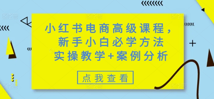 小红书电商高级课程，新手小白必学方法，实操教学+案例分析-翻身站