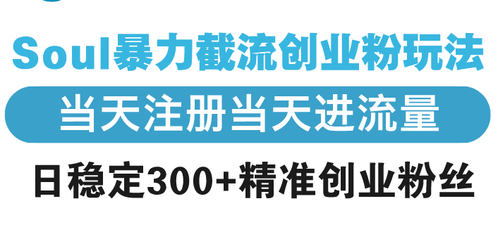 Soul暴力截流创业粉玩法，当天注册当天进流量，日稳定300+精准创业粉丝-翻身站
