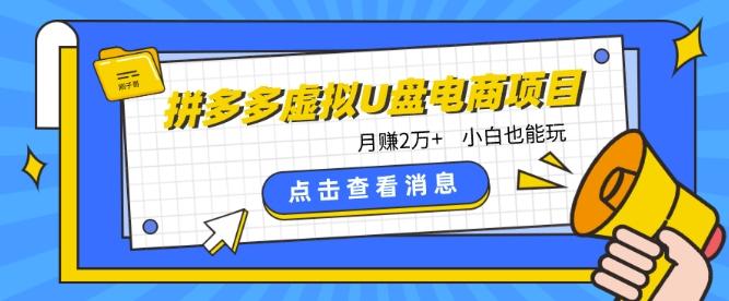 拼多多虚拟U盘电商红利项目：月赚2万+，新手小白也能玩-翻身站