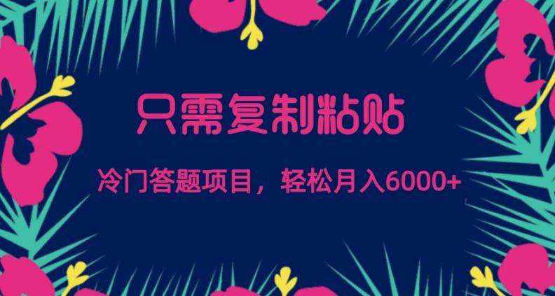 只需复制粘贴，冷门答题项目，轻松月入6000-翻身站
