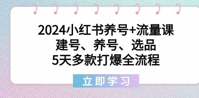 2024小红书养号+流量课：建号、养号、选品，5天多款打爆全流程-翻身站