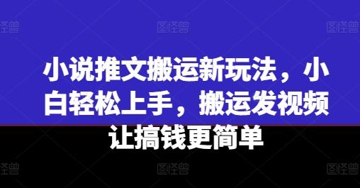 小说推文搬运新玩法，小白轻松上手，搬运发视频让搞钱更简单-翻身站
