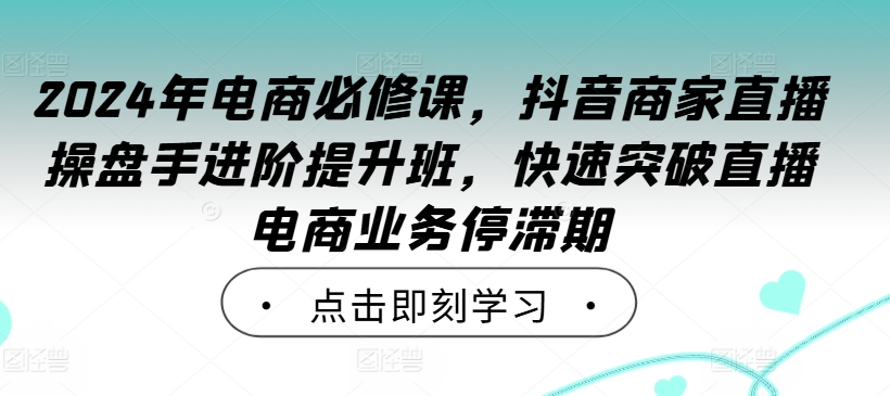 2024年电商必修课，抖音商家直播操盘手进阶提升班，快速突破直播电商业务停滞期-翻身站