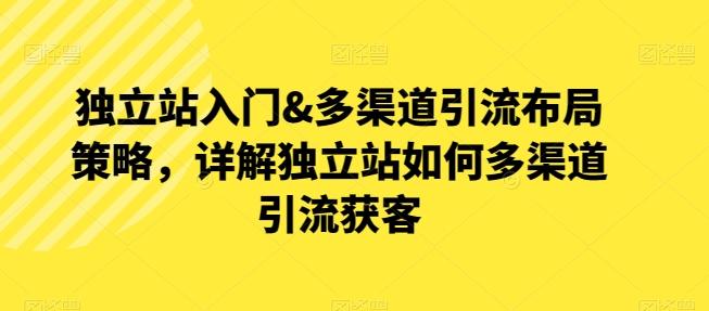 独立站入门&多渠道引流布局策略，详解独立站如何多渠道引流获客-翻身站