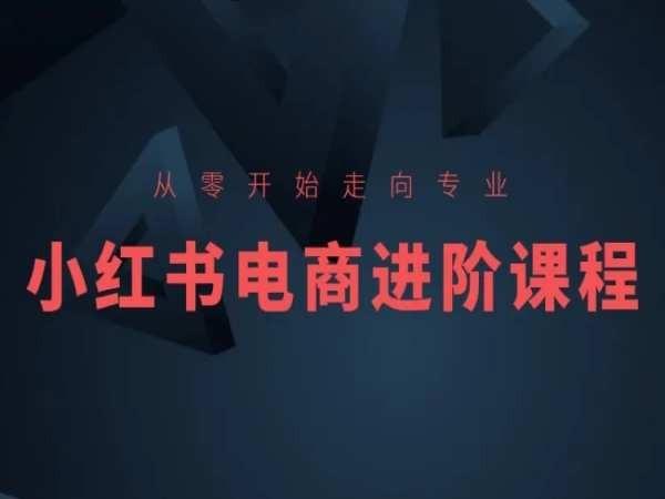 从零开始走向专业，小红书电商进阶课程-翻身站