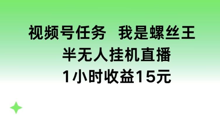 视频号任务，我是螺丝王， 半无人挂机1小时收益15元【揭秘】-翻身站