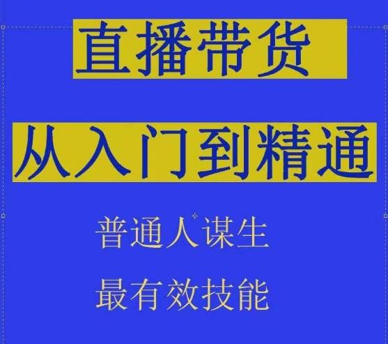 2024抖音直播带货直播间拆解抖运营从入门到精通，普通人谋生最有效技能-翻身站