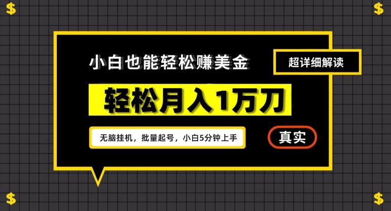 谷歌看广告撸美金2.0，无脑挂机，多号操作，月入1万刀【揭秘】-翻身站