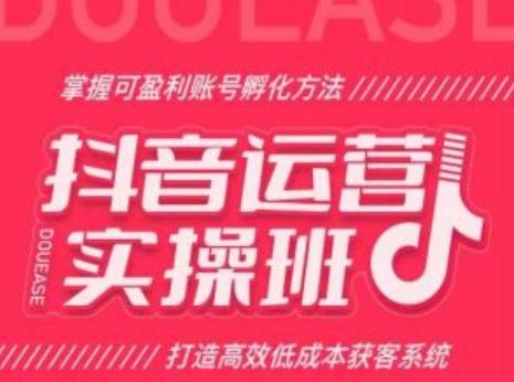 抖音运营实操班，掌握可盈利账号孵化方法，打造高效低成本获客系统-翻身站