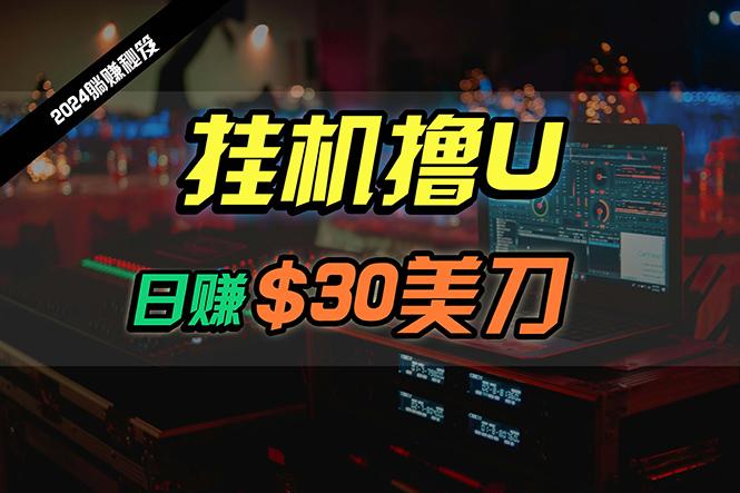 (10013期)日赚30美刀，2024最新海外挂机撸U内部项目，全程无人值守，可批量放大-翻身站
