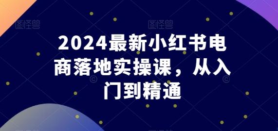 2024最新小红书电商落地实操课，从入门到精通-翻身站
