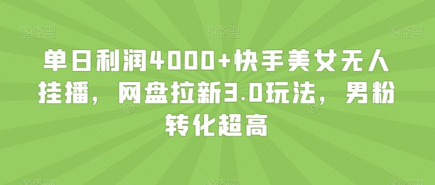 单日利润4000+快手美女无人挂播，网盘拉新3.0玩法，男粉转化超高【揭秘】-翻身站