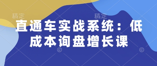 直通车实战系统：低成本询盘增长课，让个人通过技能实现升职加薪，让企业低成本获客，订单源源不断-翻身站