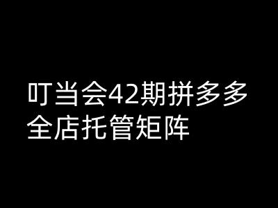 叮当会拼多多打爆班原创高阶技术第42期，拼多多全店托管矩阵-翻身站