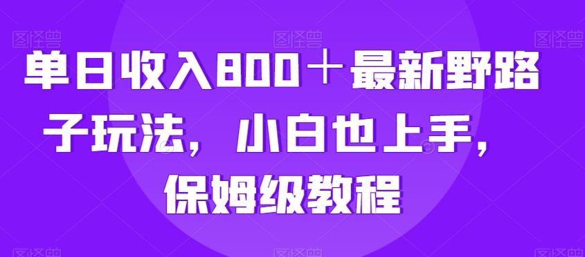 单日收入800＋最新野路子玩法，小白也上手，保姆级教程-翻身站