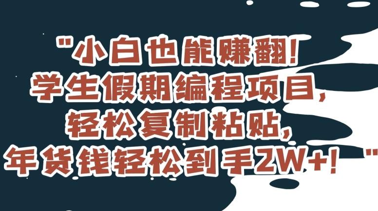 小白也能赚翻！学生假期编程项目，轻松复制粘贴，年货钱轻松到手2W+【揭秘】-翻身站