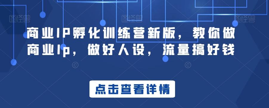 商业IP孵化训练营新版，教你做商业Ip，做好人设，流量搞好钱-翻身站