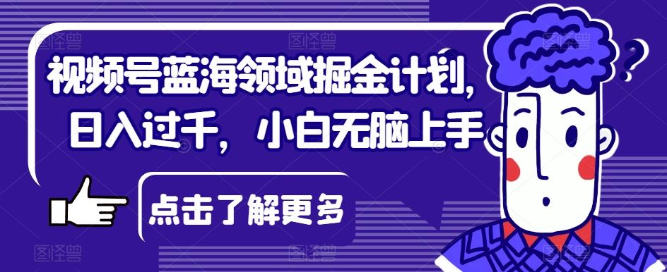 视频号蓝海领域掘金计划，日入过千，小白无脑上手【揭秘】-翻身站