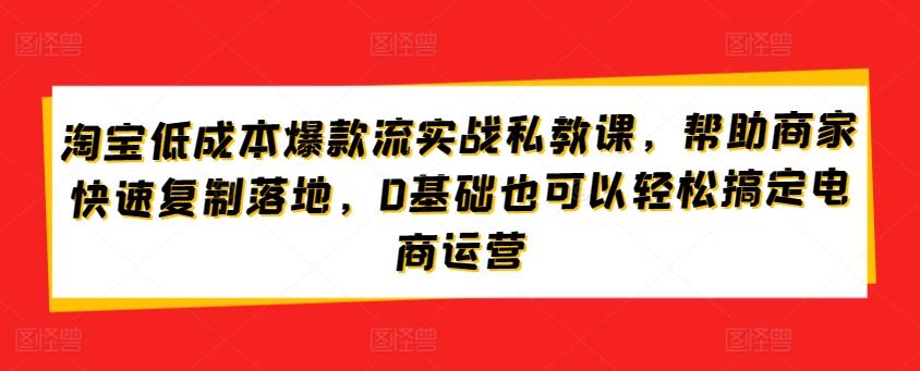 淘宝低成本爆款流实战私教课，帮助商家快速复制落地，0基础也可以轻松搞定电商运营-翻身站