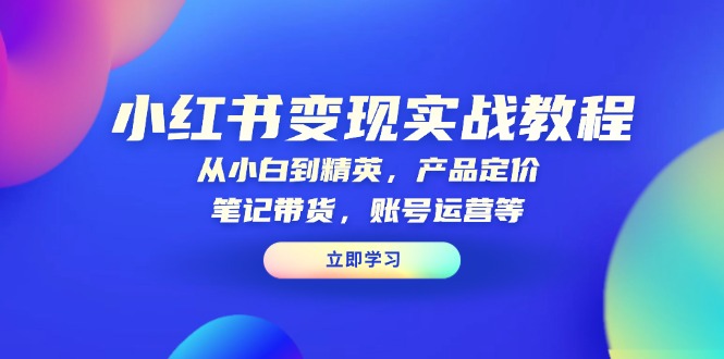 小红书变现实战教程：从小白到精英，产品定价，笔记带货，账号运营等-翻身站