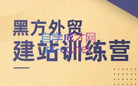 黑方老师·谷歌B端独立站建站推广-翻身站