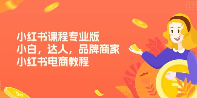 小红书课程专业版，小白，达人，品牌商家，小红书电商教程(15节-翻身站