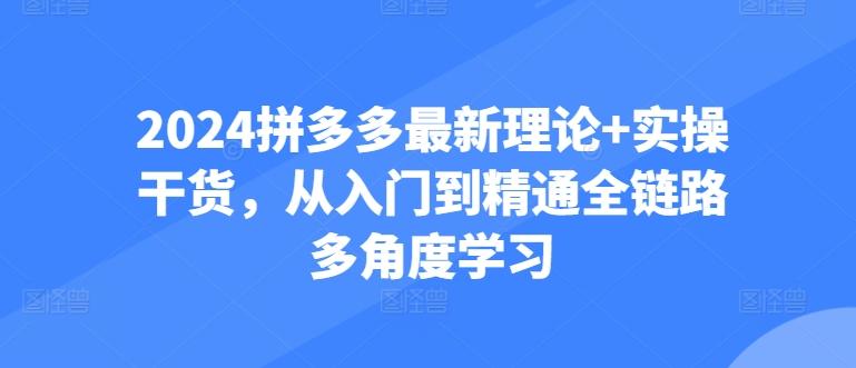 2024拼多多最新理论+实操干货，从入门到精通全链路多角度学习-翻身站