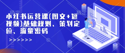 小红书运营课(图文+短视频)基础规则、策划定位、流量密码-翻身站