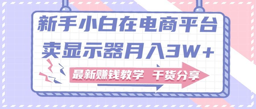 新手小白如何做到在电商平台卖显示器月入3W+，最新赚钱教学干货分享-翻身站