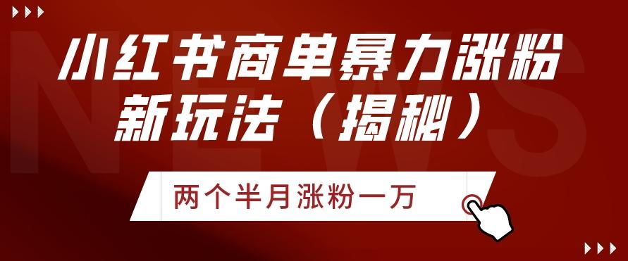 小红书商单暴力涨粉新玩法两个半月涨粉一万（揭秘）-翻身站