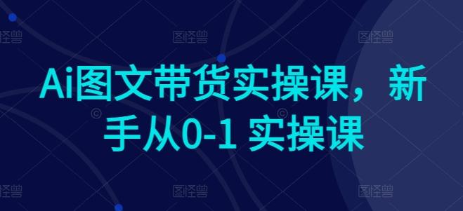 Ai图文带货实操课，新手从0-1 实操课-翻身站