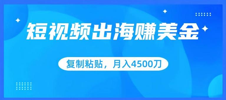 短视频出海赚美金，复制粘贴批量操作，小白轻松掌握，月入4500美刀【揭秘】-翻身站