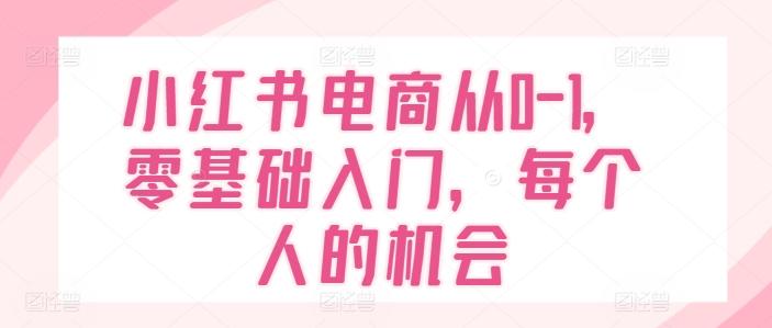 小红书电商从0-1，零基础入门，每个人的机会-翻身站