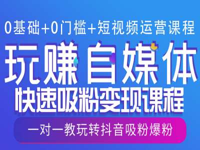 0基础+0门槛+短视频运营课程，玩赚自媒体快速吸粉变现课程，一对一教玩转抖音吸粉爆粉-翻身站