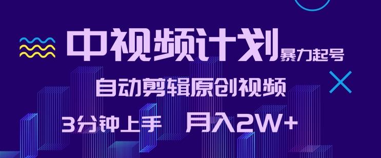 中视频计划暴力起号，自动剪辑原创视频，3分钟上手，月入2W+【揭秘】-翻身站