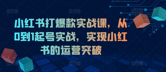 小红书打爆款实战课，从0到1起号实战，实现小红书的运营突破-翻身站