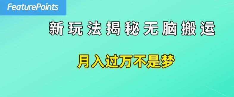 简单操作，每天50美元收入，搬运就是赚钱的秘诀【揭秘】-翻身站