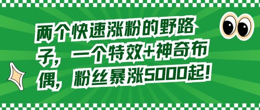两个快速涨粉的野路子，一个特效+神奇布偶，粉丝暴涨5000起【揭秘】-翻身站