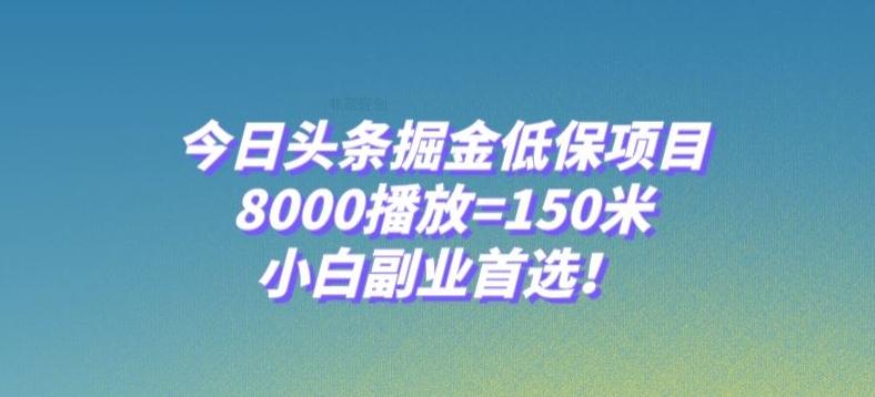 今日头条掘金低保项目，8000播放=150米，小白副业首选【揭秘】-翻身站