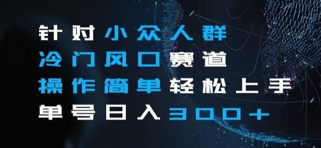 针对小众人群冷门风口赛道，操作简单轻松上手单号日入300+-翻身站