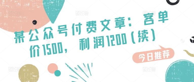 某公众号付费文章：客单价1500，利润1200(续)，市场几乎可以说是空白的-翻身站