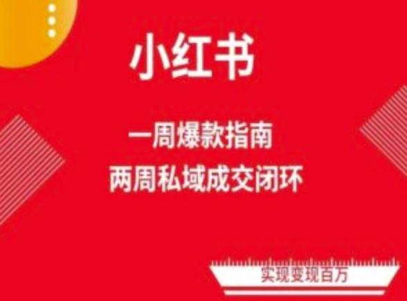 爆款小红书免费流量体系课程(两周变现)，小红书电商教程-翻身站