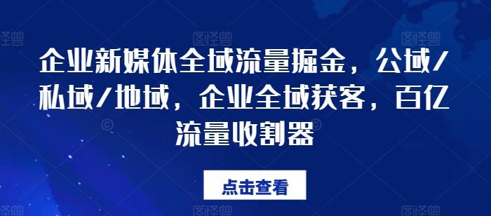 企业新媒体全域流量掘金，公域/私域/地域，企业全域获客，百亿流量收割器-翻身站
